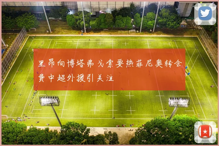 里昂向博塔弗戈索要热菲尼奥转会费中超外援引关注