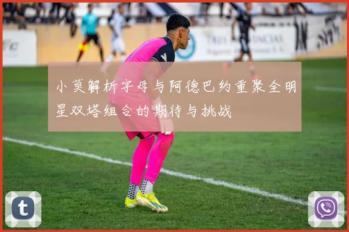 小莫解析字母与阿德巴约重聚全明星双塔组合的期待与挑战